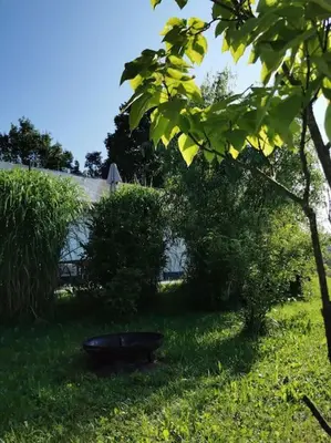 Naturlandschaft in der Nähe des Ferienhauses