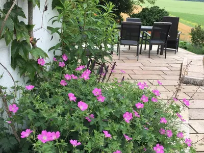 Ein Garten an der Unterkunft ZEIT für DICH