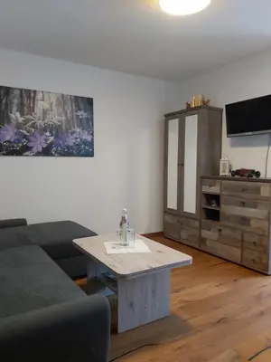 TV/Unterhaltungsangebot in der Unterkunft Ferienwohnung Munzert