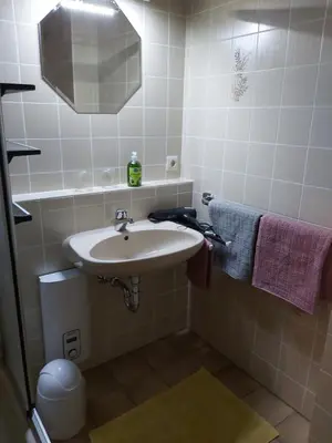 Ein Badezimmer in der Unterkunft Ferienwohnung Munzert