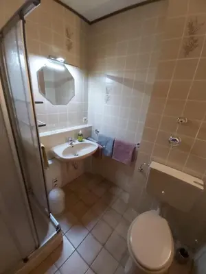 Ein Badezimmer in der Unterkunft Ferienwohnung Munzert