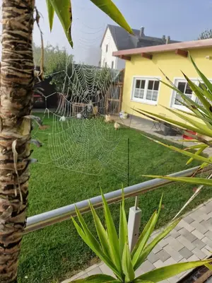 Ein Garten an der Unterkunft Ferienwohnung Erika