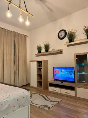 TV/Unterhaltungsangebot in der Unterkunft Gemütliche Apartments AMT