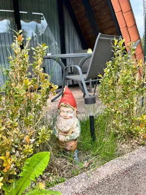Ein Garten an der Unterkunft Gemütliches Ferienhaus mit sonniger Terrasse Frankenwald nähe Badesee Smart-TV
