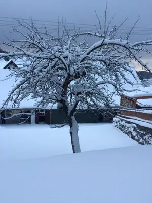 Ferienwohnung Körber im Winter