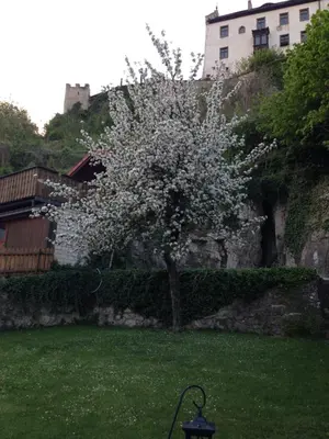 Ein Garten an der Unterkunft Ferienwohnung Körber