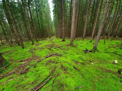 Naturlandschaft in der Nähe des Ferienhauses