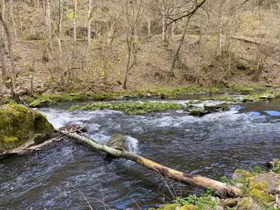 Naturlandschaft in der Nähe der Ferienwohnung