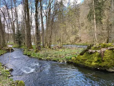 Naturlandschaft in der Nähe der Ferienwohnung