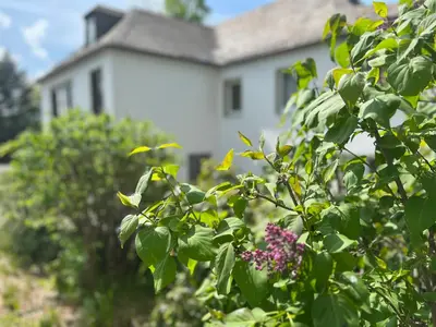 Ein Garten an der Unterkunft Unsereins Hotel