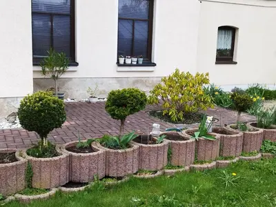 Ein Garten an der Unterkunft Pension Stöß