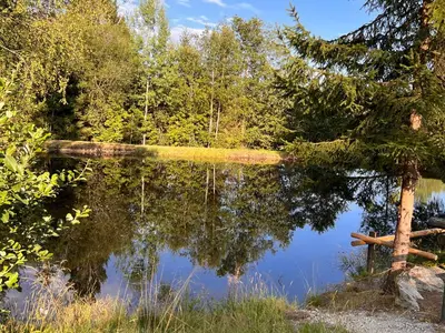 Naturlandschaft in der Nähe der Ferienwohnung
