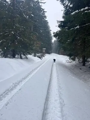 Ländliche Fewo Wildblume, 4 km zum Stausee im Winter