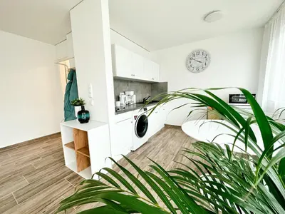 Küche/Küchenzeile in der Unterkunft Sali Homes AM1 Elegant and Stylish Retreat in Heart of Bayreuth, Close to River